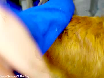 webcam girl x_lily_x image #7037048