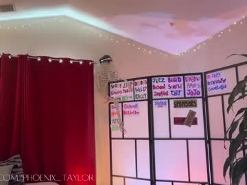 webcam girl phoenix_taylor image #7926718