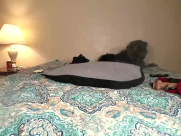 webcam girl mrswadsworthy image #2390037