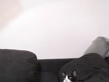 webcam girl ohmysweetkitty image #2661279