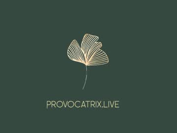 webcam girl provocatrixx image #389016