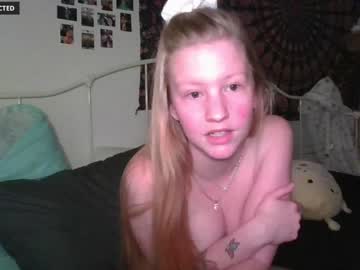 Cam for inkdfairy