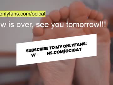 webcam girl ocicat image #2274486