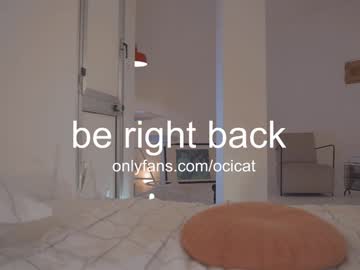 webcam girl ocicat image #8013790