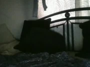 webcam girl babypantie image #6038669