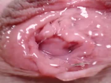 webcam girl courtney_luv image #4230257