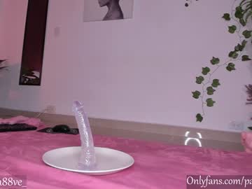 webcam girl pamela_velez image #4872324