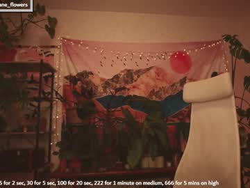 webcam girl jane_flowers image #5049582