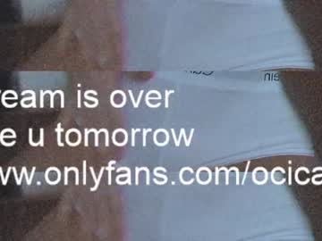 webcam girl ocicat image #3407373
