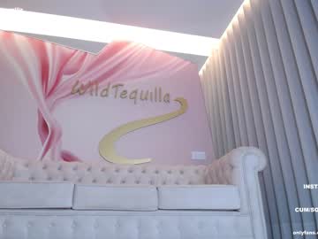 webcam girl wildtequilla image #4799633