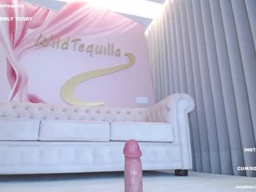 webcam girl wildtequilla image #4492982