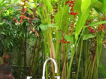 webcam girl katyerave image #6202660