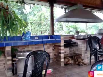 webcam girl ohanna_ image #2106066