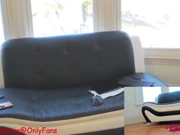 webcam girl rvlifebarbie image #3160960