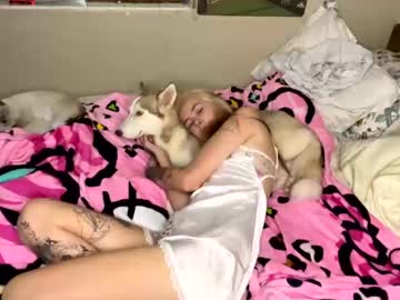 webcam girl shiestykat999 image #7369637