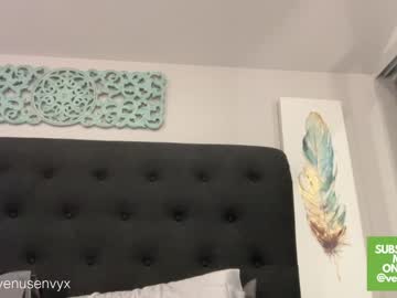 webcam girl venusenvyx image #4603137