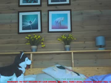 webcam girl coy_amina image #580913