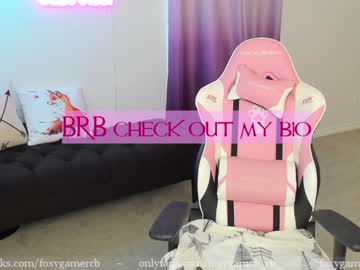 webcam girl foxy_gamer image #2066197