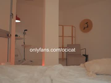 webcam girl ocicat image #8387498