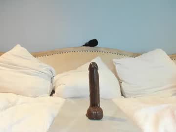 webcam girl eatmygingersnapps image #8828718