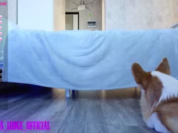 webcam girl nika_lodge image #4562582