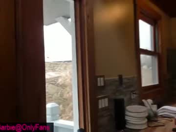 webcam girl rvlifebarbie image #3698217
