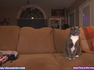 webcam girl chroniclove image #5662485
