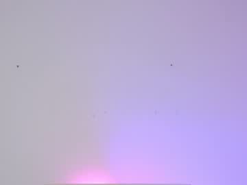 webcam girl sapphirealice image #1394577