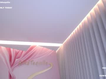 webcam girl wildtequilla image #4242423