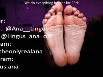 webcam couple ana__lingus image #2867828