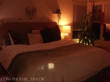 webcam girl phoenix_taylor image #9535733