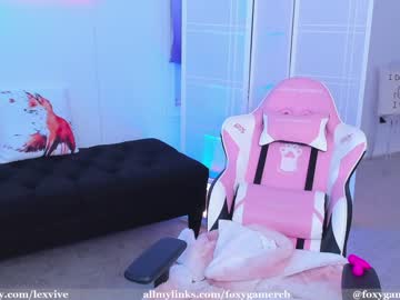 webcam girl foxy_gamer image #2376097