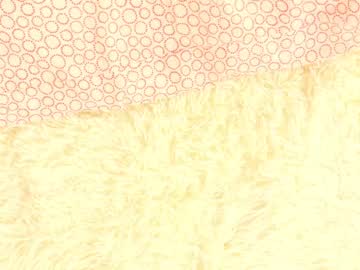 webcam girl barbaraweb image #4013029