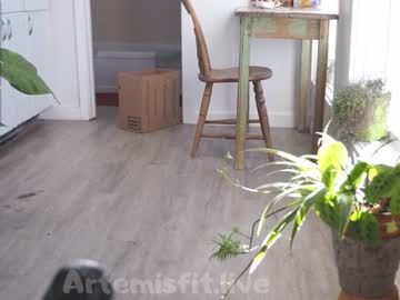 webcam girl artemisfit image #965444