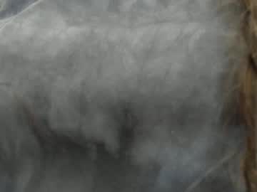 webcam girl bonny_bigboobs image #1168381