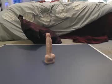 webcam girl brookie2212 image #4091846