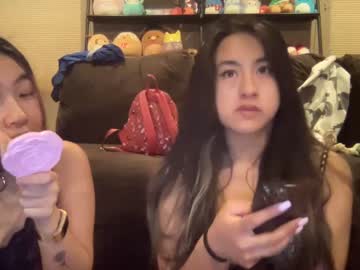 webcam girl hiddenr0se image #4795951
