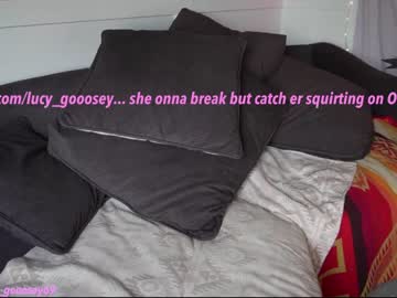 webcam girl lucy_gooosey image #6667097