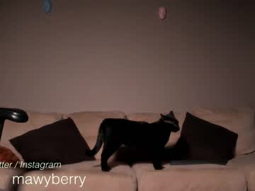 webcam girl maryberrygh_ image #4816600