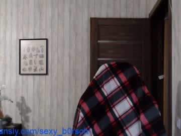 webcam girl sexy_b0rsch image #2025715