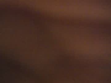 webcam girl amelia__williams image #1567030