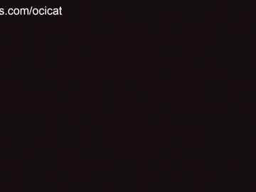 webcam girl ocicat image #5324265