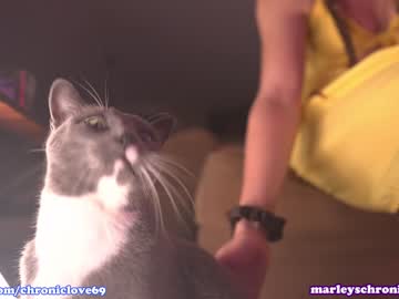 webcam girl chroniclove image #5698460
