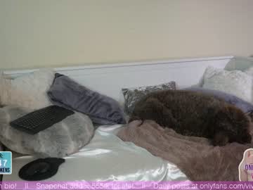 webcam girl vivid_whit image #1820121