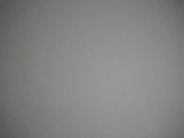 webcam girl arielday image #5901987