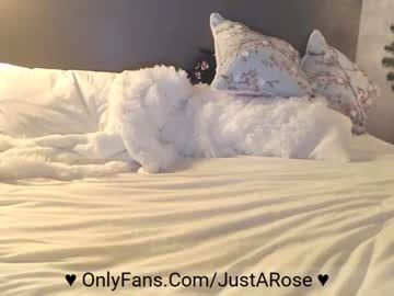 webcam couple kittie image #1628623