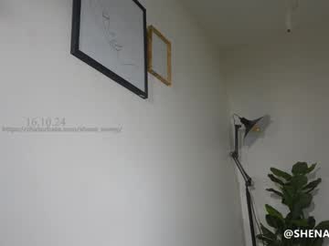 webcam girl shena_nomy image #8045676