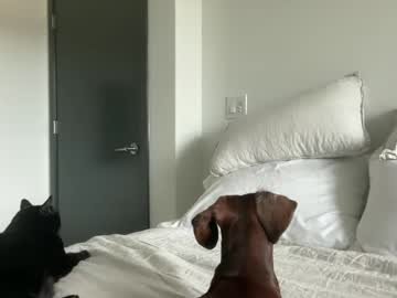 webcam girl itssjasmine image #8719390