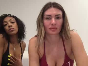 webcam girl shetoowild image #2404197