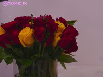 webcam girl taanni_bc image #4944552